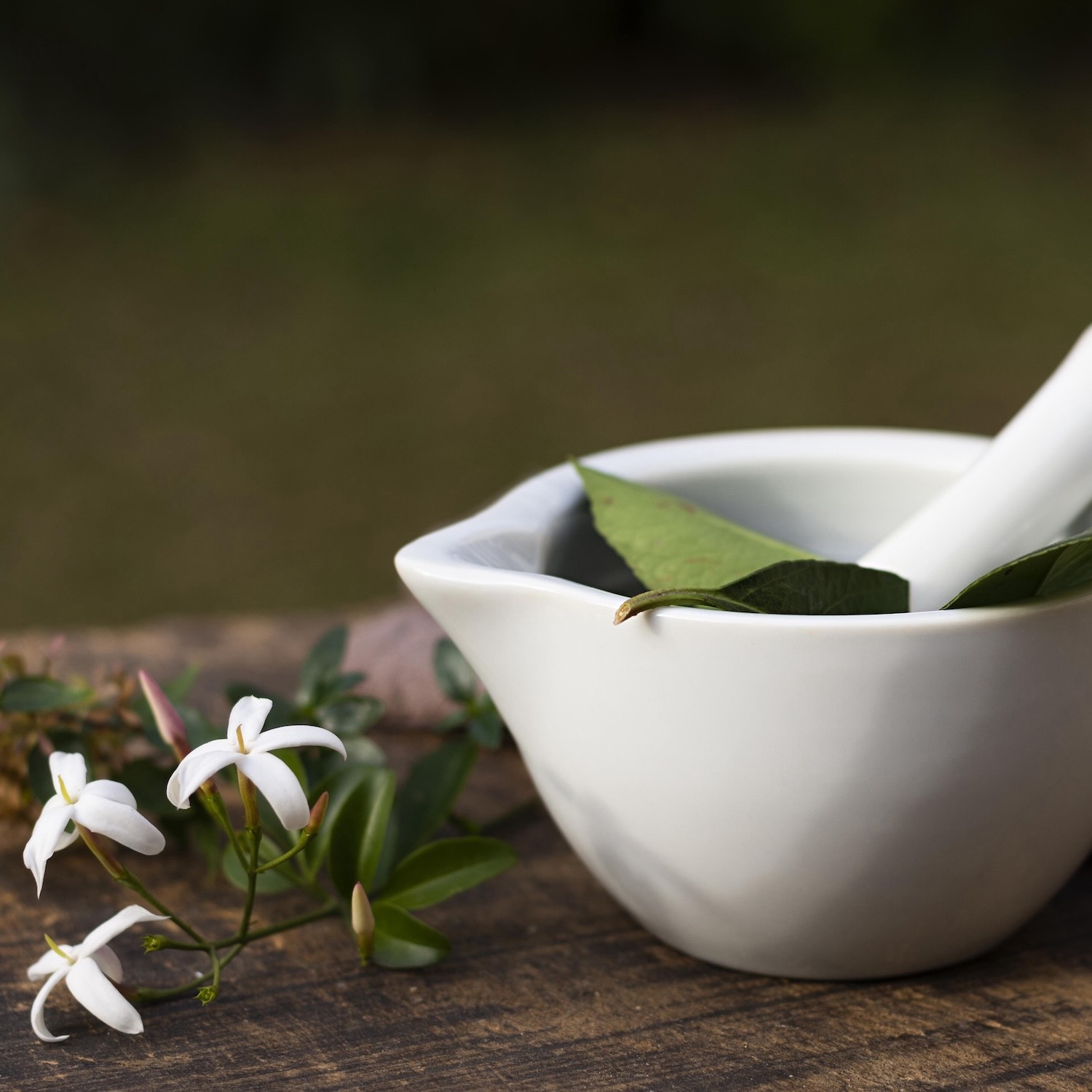 Phytothérapie, Pharmacie du Faubourg Saint-Pierre, Montluçon